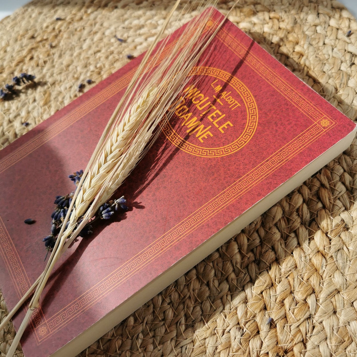 Fundă delicată Joséphine + Carte ''Micuţele Doamne" de L.M. Alcott